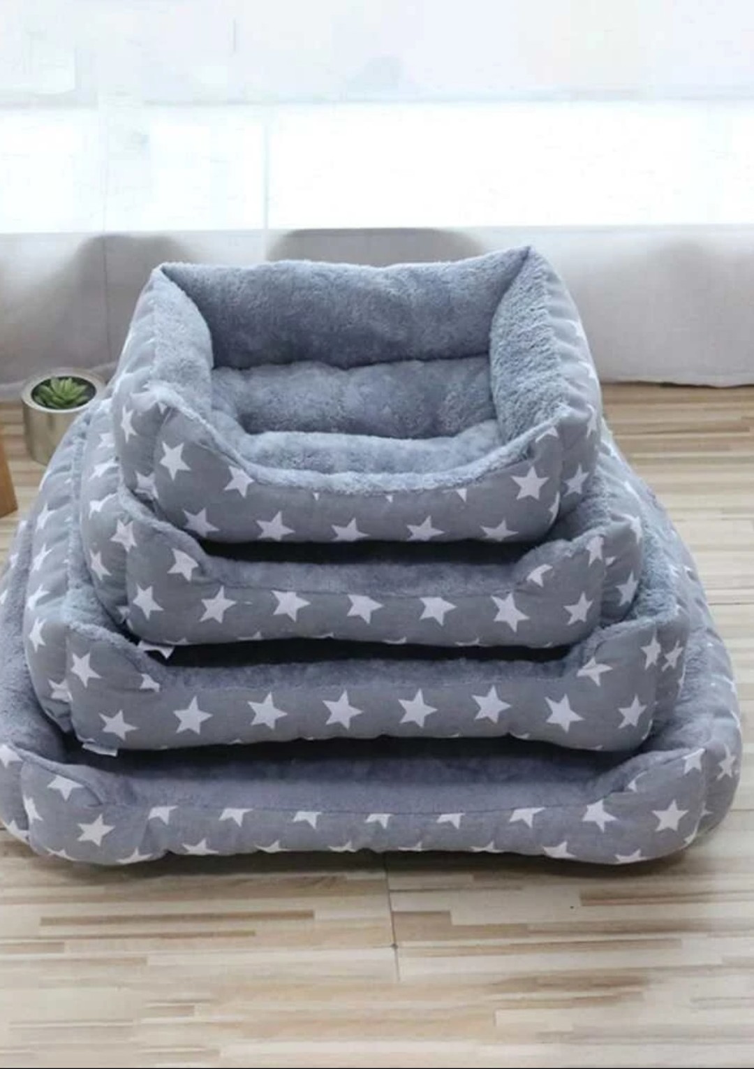 Dogs Beddings